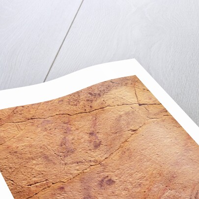 Head of a small stag by Prehistoric Prehistoric