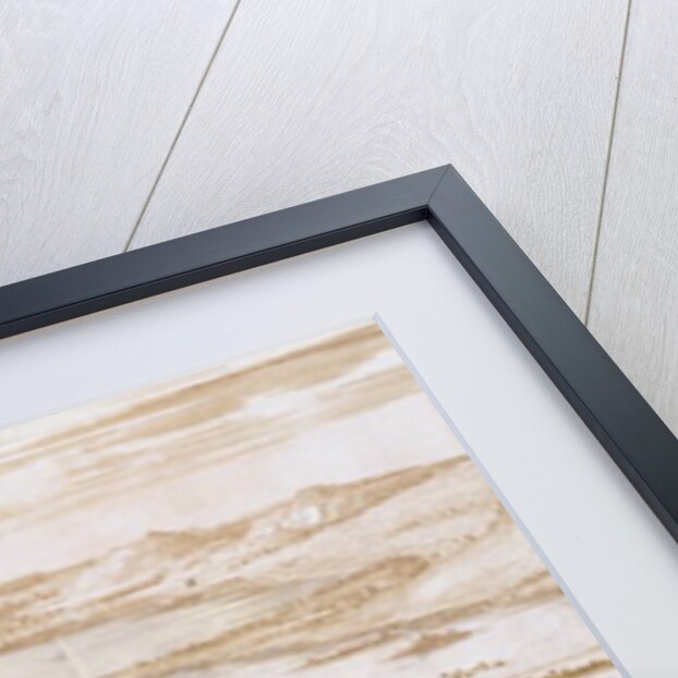 The Town of Mexico by Pierre Antoine Marchais