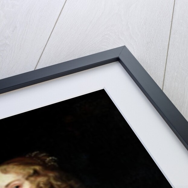 Young Woman Playing a Viola da Gamba by Anthony van Dyck