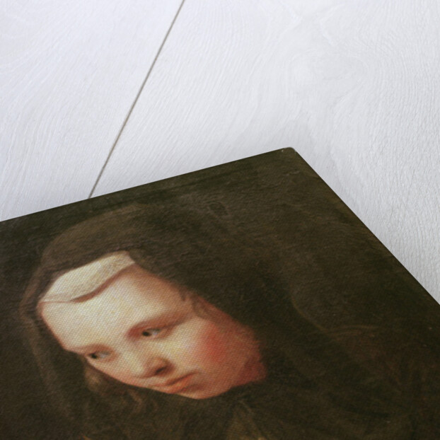 The Sense of Hearing by Michael Sweerts