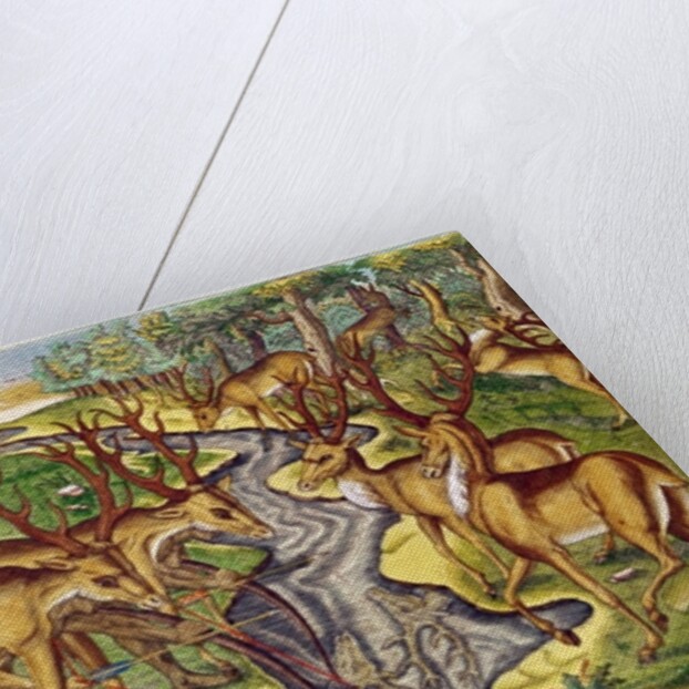 Stag Hunt by Jacques Le Moyne
