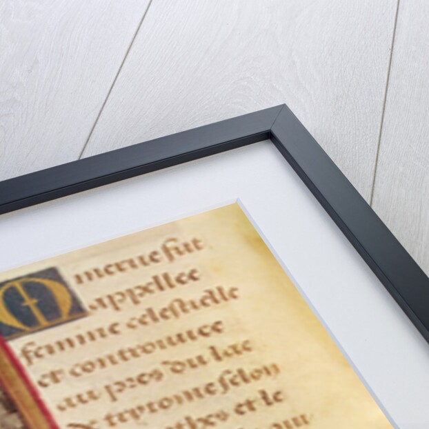 Ms 17 Minerva by French School