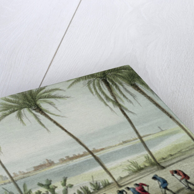 General View of Cadiz by J. Taylor