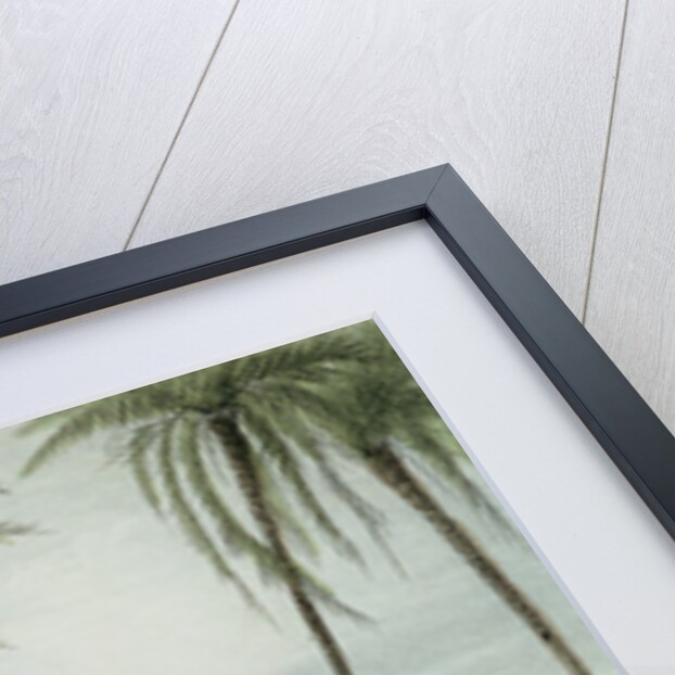 General View of Cadiz by J. Taylor