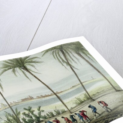 General View of Cadiz by J. Taylor