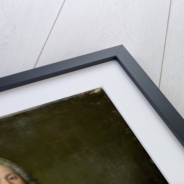 A President of the Parliament by French School