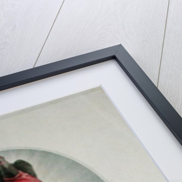 The French Republican by Simon Louis Boizot