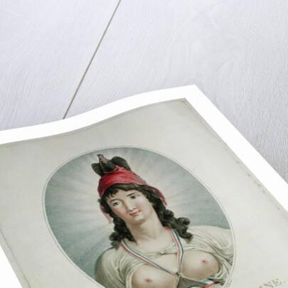 The French Republican by Simon Louis Boizot