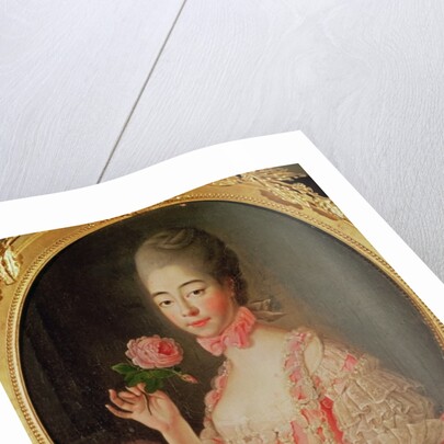 Marie-Josephine Louise de Savoie Comtesse de Provence by Francois-Hubert Drouais