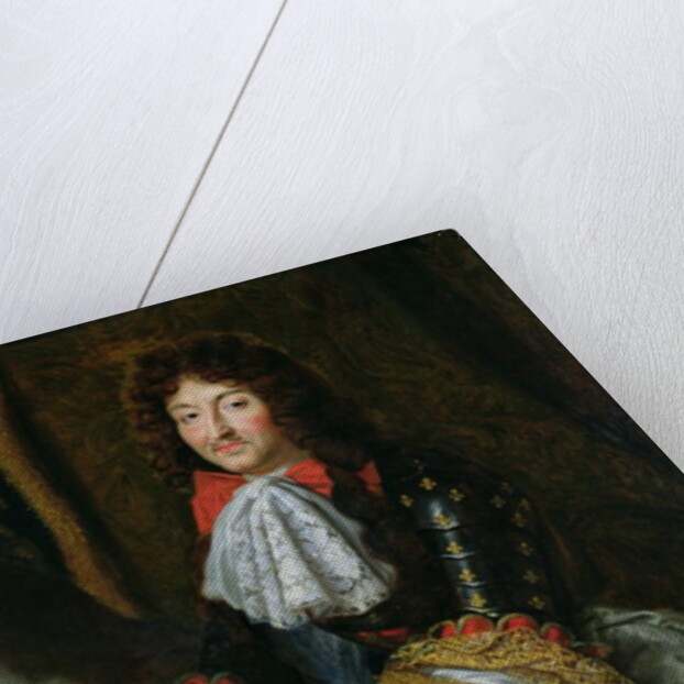 Louis XIV by French School