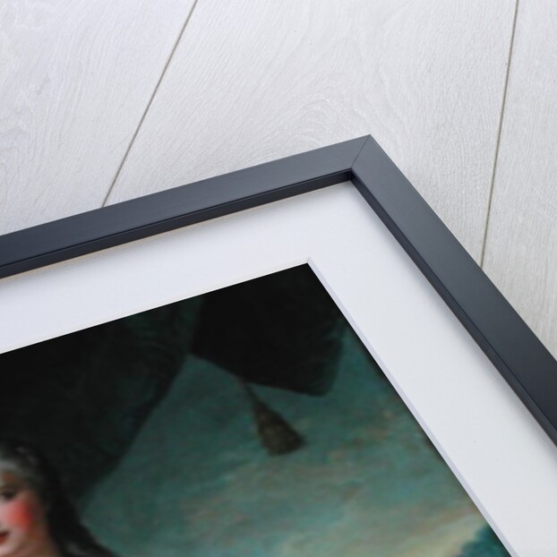 Dauphine Marie-Josephe de Saxe 1751 by Jean-Marc Nattier