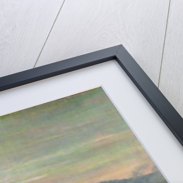 Louis XIV in Battle near Mount Cassel, 11th April 1677, c.1678 by Adam Frans van der Meulen