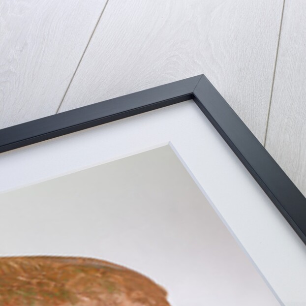 A wild boar, from Neuvy-en-Sullias by Gallo-Roman Gallo-Roman