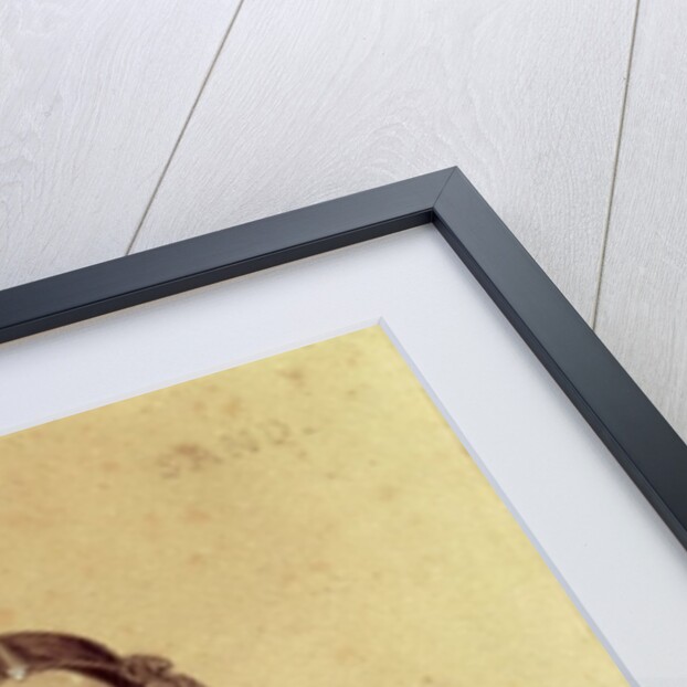 Portrait of George Sand, 1837 by Luigi Calamatta