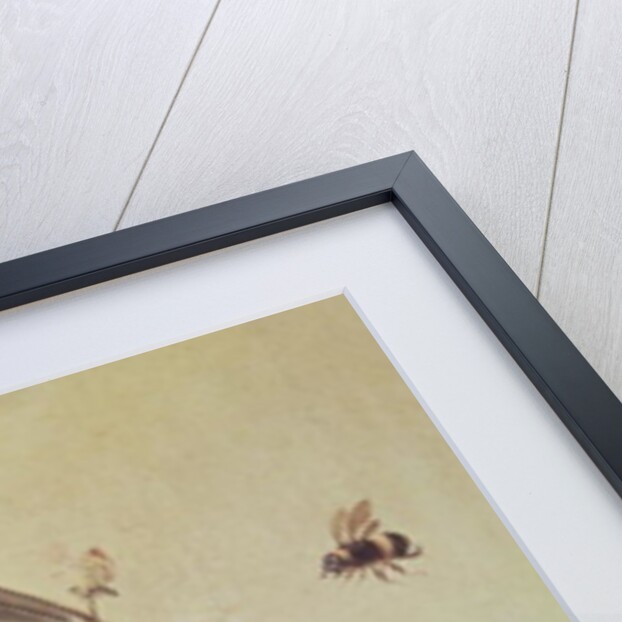 Still Life of Dead Birds and a Mouse, 1712 by Jean-Baptiste Oudry