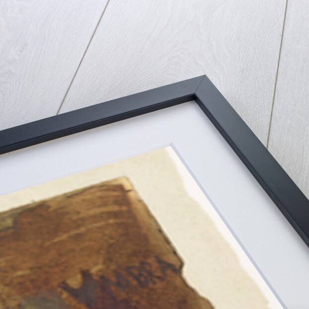 House of Chevalier de Saint-Georges, Heidelberg by Victor Hugo