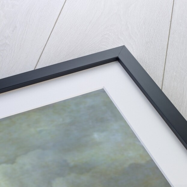 The Tempest by Jacob Isaaksz. or Isaacksz. van Ruisdael