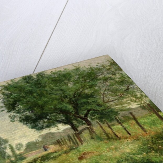 Peasant in the Fields by Henri Rouart