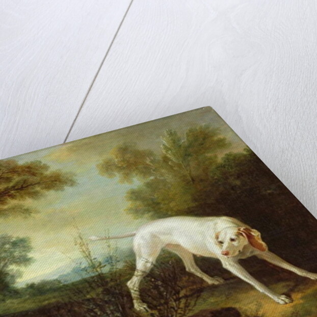 Blanche, Bitch of the Royal Hunting Pack by Jean-Baptiste Oudry