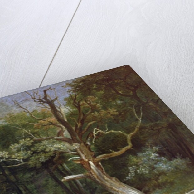 Wolf Hunt in the Forest of Saint-Germain, 1748 by Jean-Baptiste Oudry