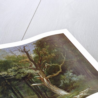 Wolf Hunt in the Forest of Saint-Germain, 1748 by Jean-Baptiste Oudry