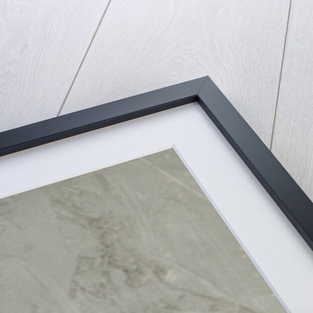 The Virgin and Two Female Saints, 1521 by Albrecht Dürer or Duerer