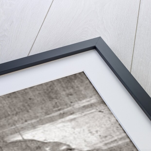 Cherubim Crying, 1521 by Albrecht Dürer or Duerer