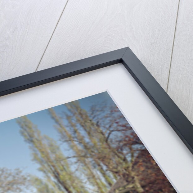 View of the House of the Abbess, the refectory and a dormitory by School Flemish