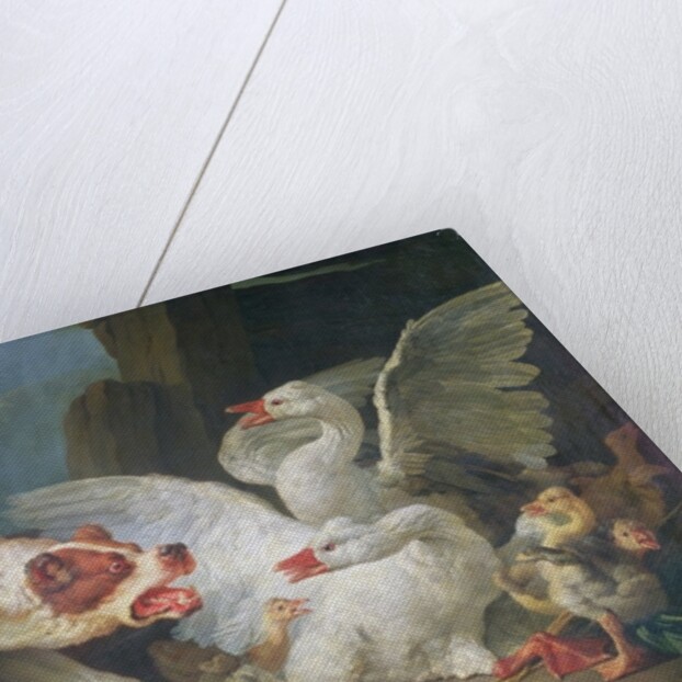 A Dog Attacking Geese, 1769 by Jean-Baptiste Huet