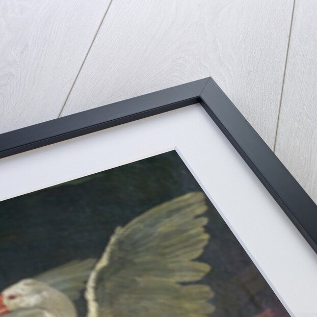 A Dog Attacking Geese, 1769 by Jean-Baptiste Huet