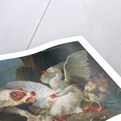 A Dog Attacking Geese, 1769 by Jean-Baptiste Huet