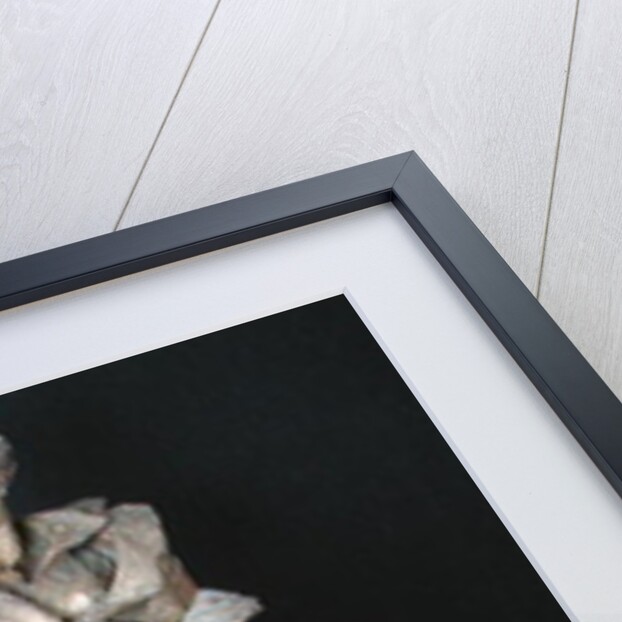 Statue of Alexandre Dumas Pere, c.1883-87 by Albert-Ernest Carrier-Belleuse