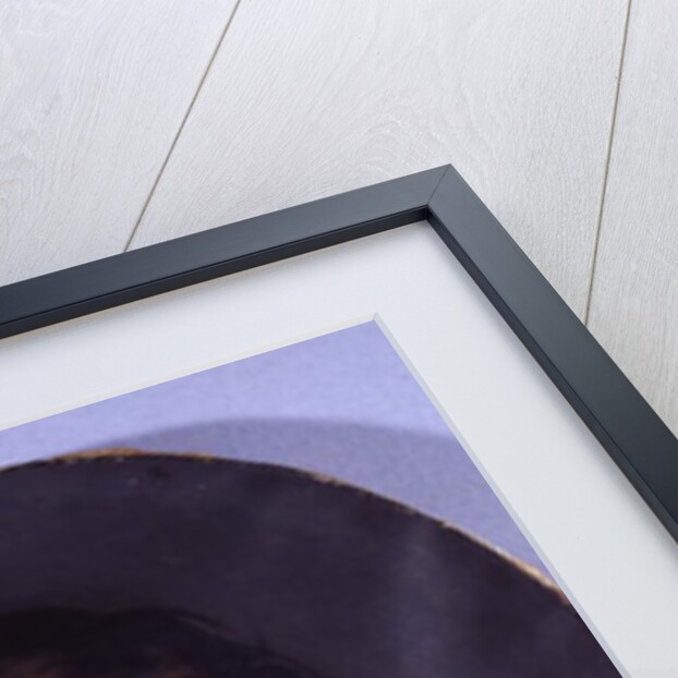 Self Portrait, 1862 by Paul Dubufe