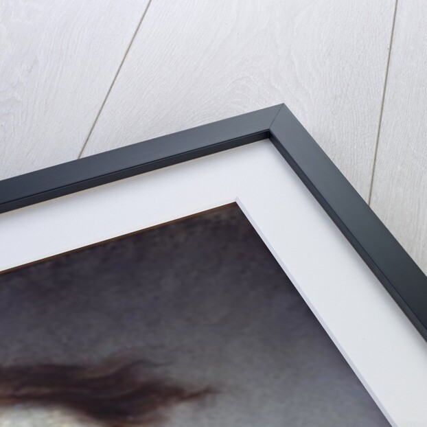 Head of a Young Girl by Jean Baptiste Greuze