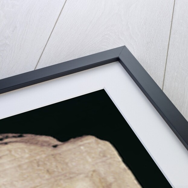 Funeral stela of a potter by Gallo-Roman Gallo-Roman