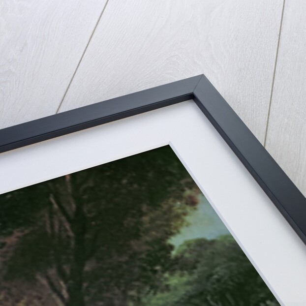 A Walk in the Park by Jean-Baptiste Hilair