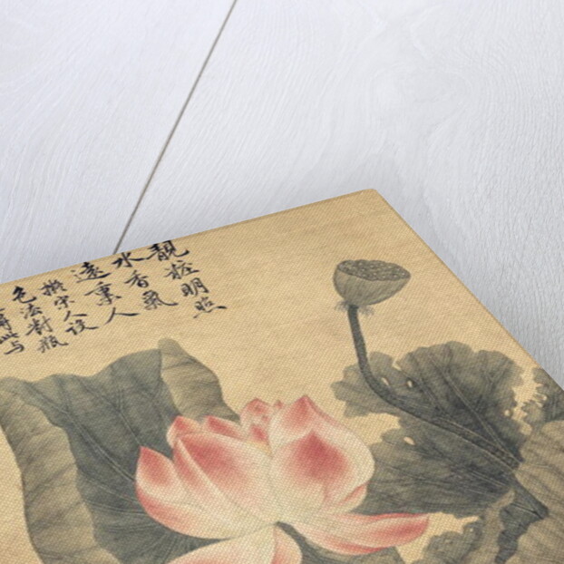 Peonies by Shouping Yun