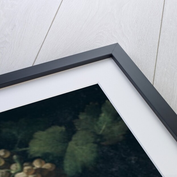 Still Life with Grapes and Pomegranate by Italian School