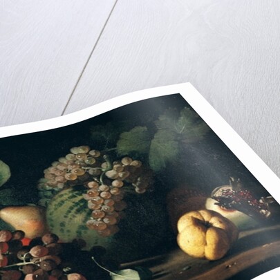 Still Life with Grapes and Pomegranate by Italian School