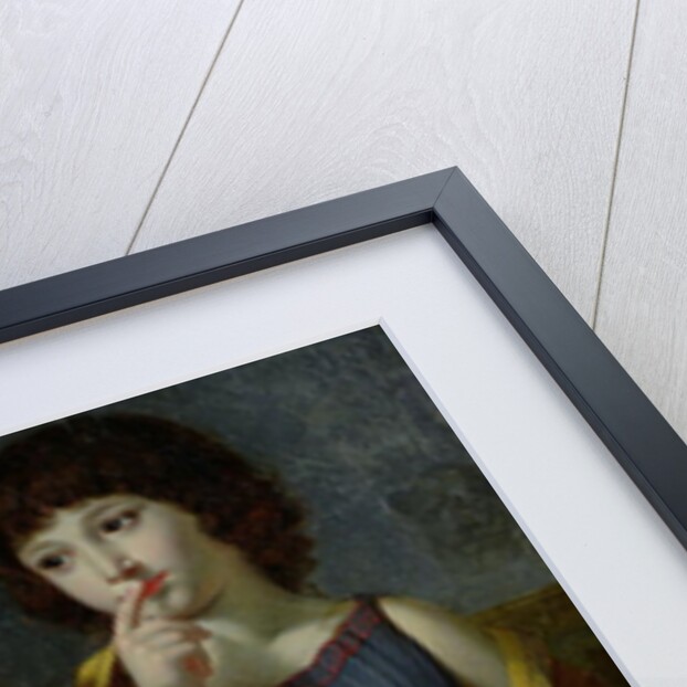 The Three Children of Monsieur Langlois by Robert Lefevre