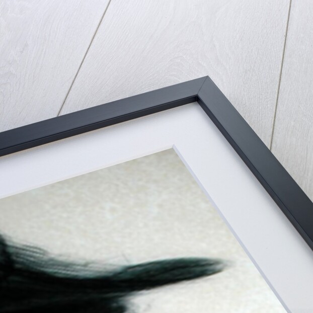 Consuelo Vanderbilt Duchess of Marlborough, c.1901 by Paul Cesar Helleu