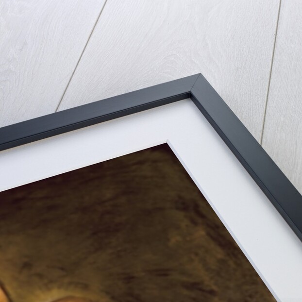 The Virgin of the Rosary by Bartolome Esteban Murillo