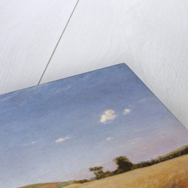 Edge of the Woods on the Outkirts of Eu, 1883 by Adolphe Gustave Binet