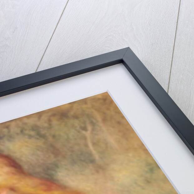 Standing Bather, 1896 by Pierre Auguste Renoir