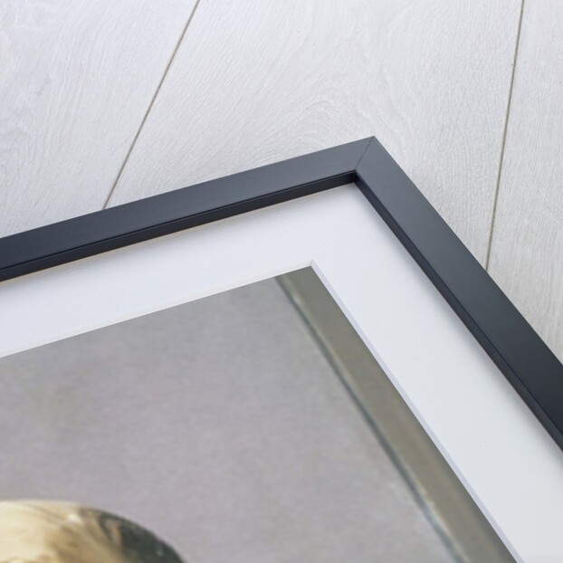 St. Diego of Alcala by Mexican School