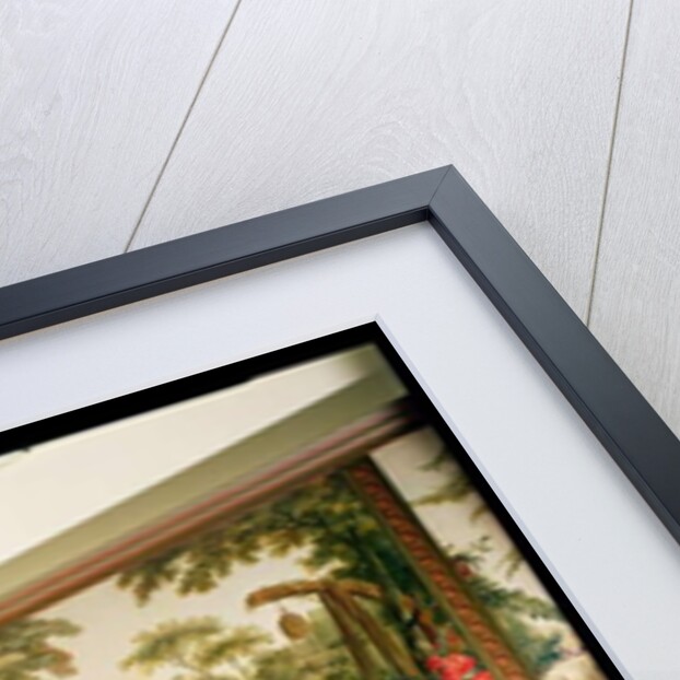 Painted wall panels in the Salon of Gille Demarteau by Francois