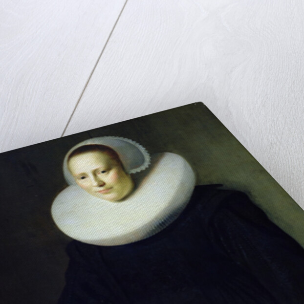 Portrait of a Woman by Michiel Jansz. van