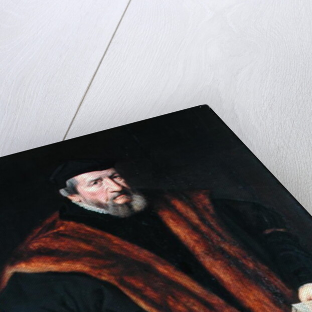 Portrait of a Man, 1564 by School Netherlandish