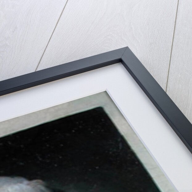 Self Portrait with Broken Glass by Louis Leopold Boilly