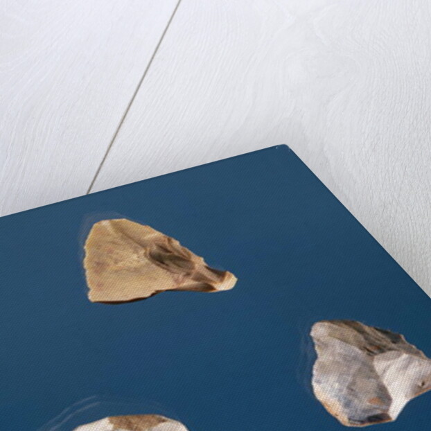 Four tools, 35000-10000 BC by Prehistoric Prehistoric